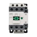 CAT 088 DSC 0698 FRONT WHITE V2