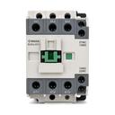 CAT 088 DSC 0698 FRONT WHITE V4
