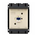 CAT 108 DSC 0761 FRONT WHITE V2